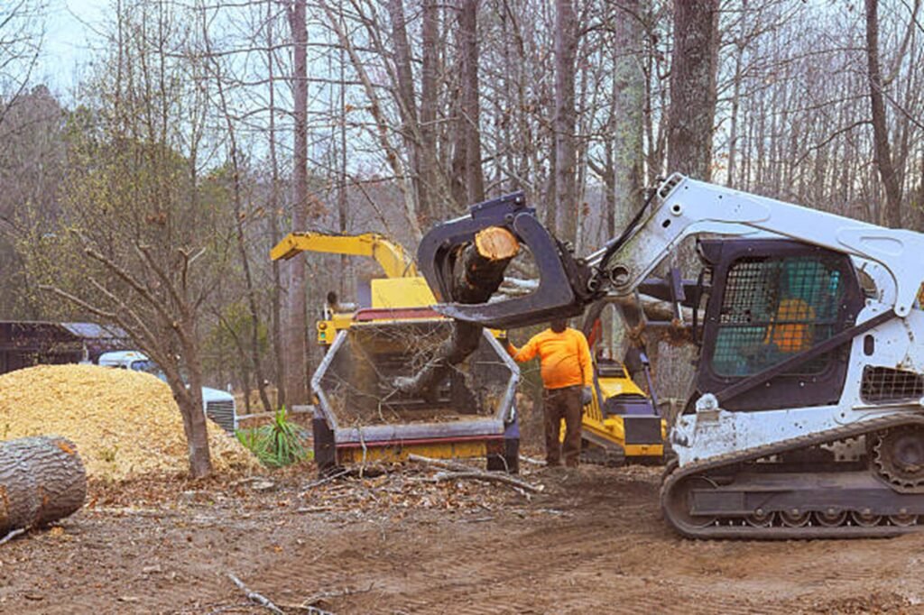 Residential property after professional tree removal with logs processed and the hazardous tree safely removed in University City, MO.