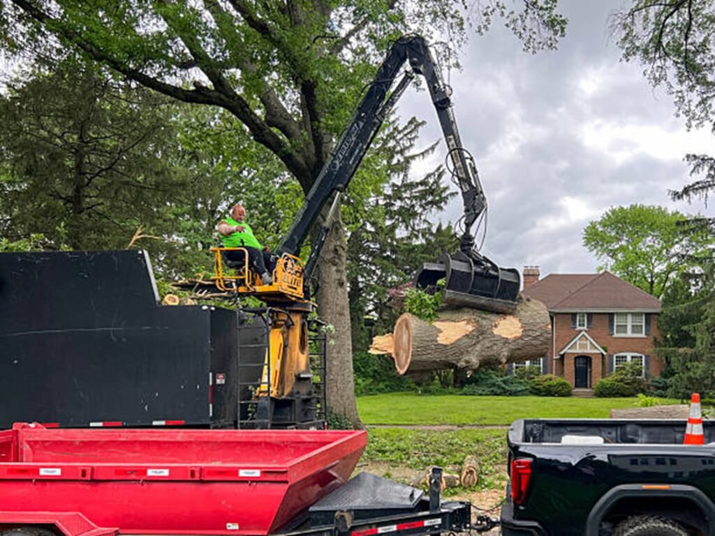 Professional tree removal crew using heavy equipment to safely lift and remove large tree sections during a residential tree removal project in University City, MO.
