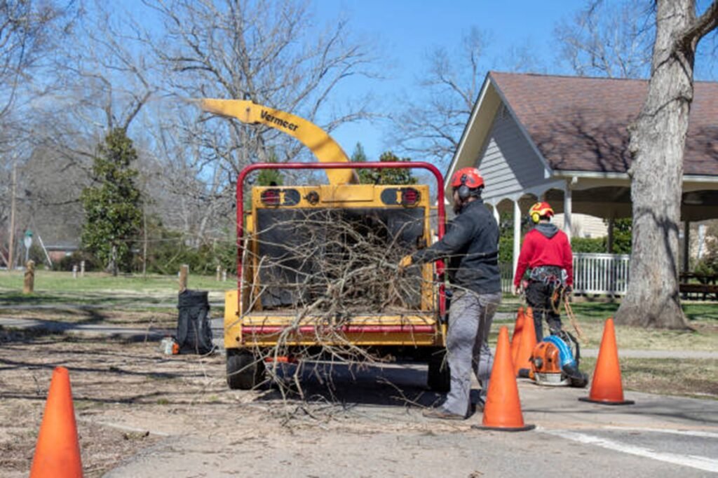 Crownline Tree Service crew loading tree branches into a wood chipper after completing a residential tree service project in University City, MO.