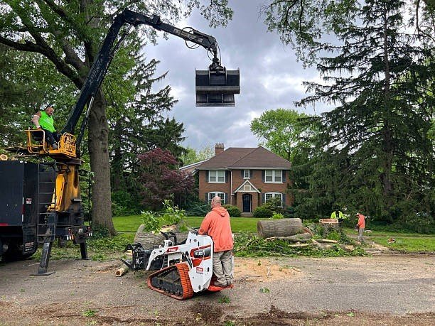 Professional tree care crew using heavy equipment to remove trimmed tree sections during a tree trimming and pruning project in University City, MO.