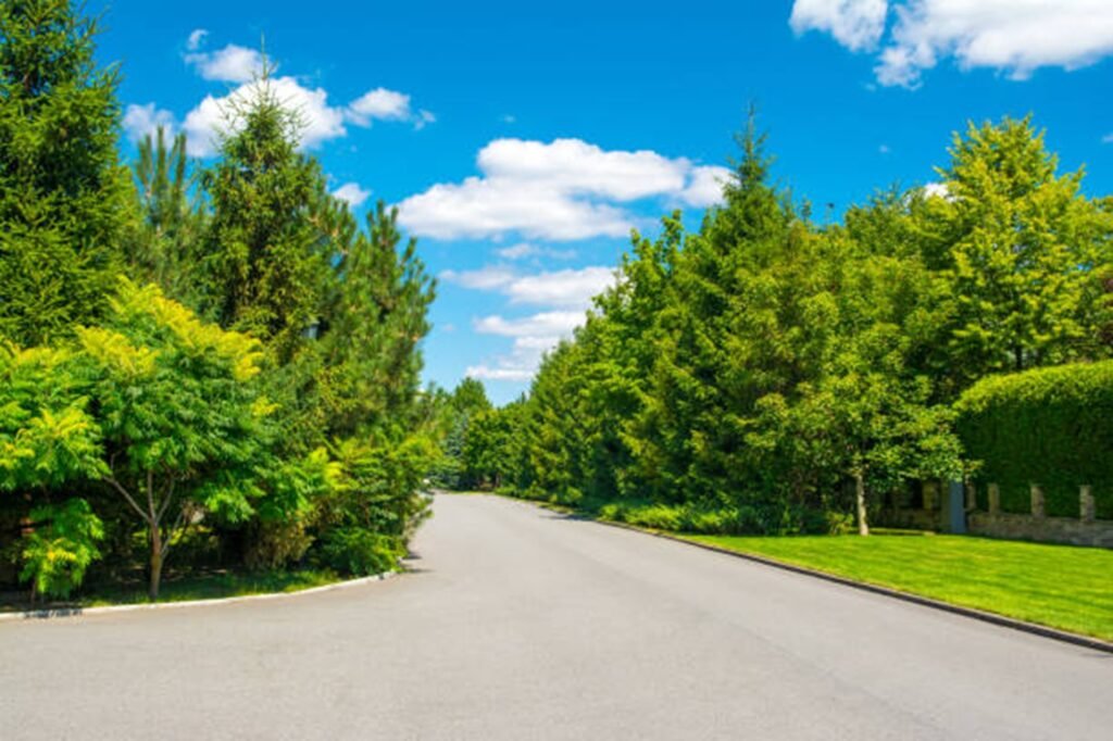Beautiful tree-lined residential neighborhood representing the communities served by Crownline Tree Service throughout University City, MO.