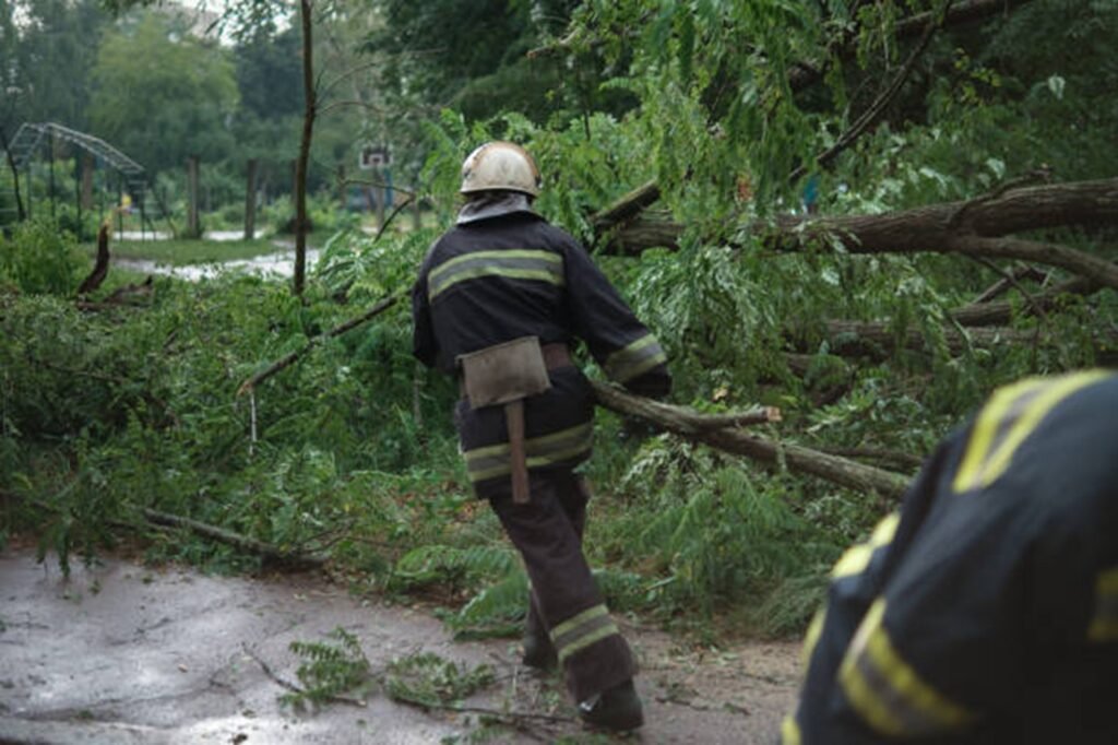 Professional crew clearing fallen trees and storm debris from a residential roadway during storm damage cleanup in University City, MO.
