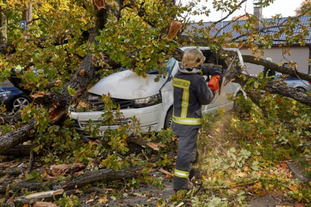 Emergency tree service crew removing a large fallen tree from a damaged vehicle after severe storm damage in University City, MO.