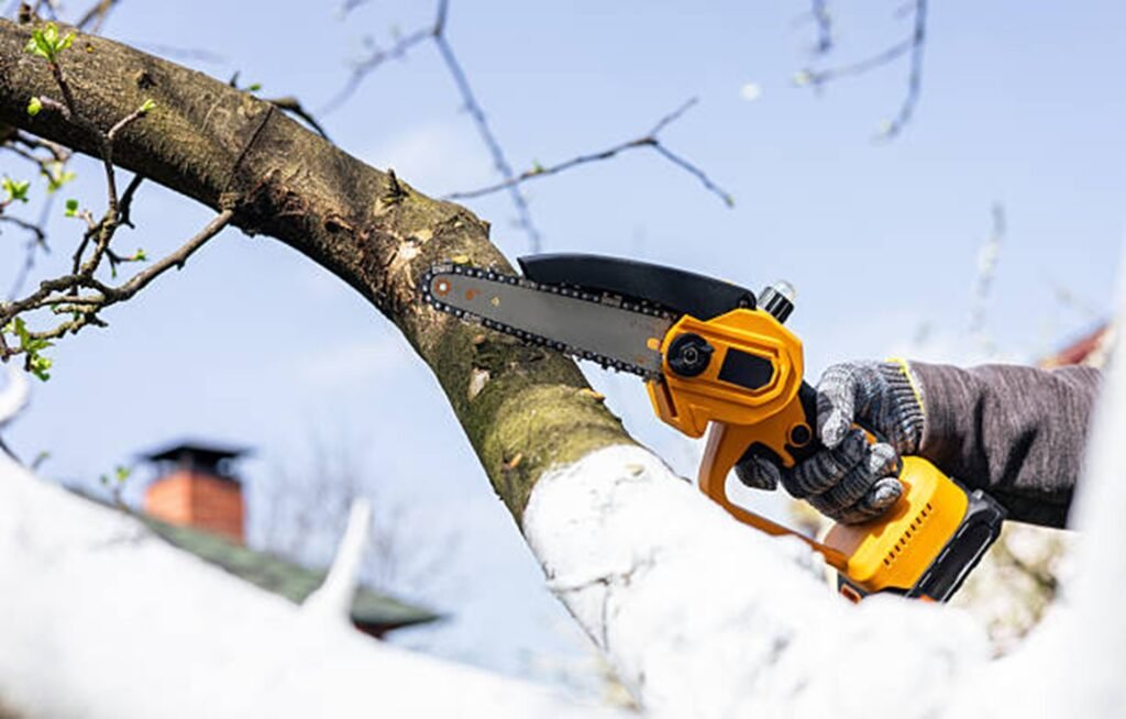 Professional arborist pruning a tree branch with a handheld chainsaw during residential tree trimming service in University City, MO.