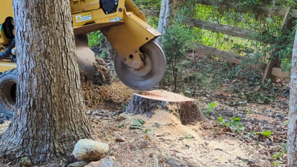 Commercial stump grinder removing a tree stump below ground level during professional stump grinding and removal service in University City, MO.