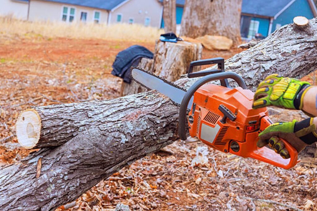 Professional chainsaw cutting through a fallen tree during emergency tree removal service at a residential property in University City, MO.