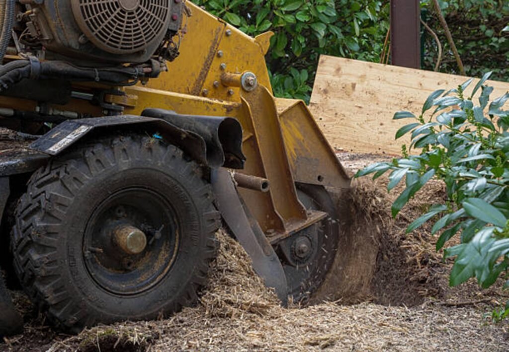 Professional stump grinding machine removing a tree stump from a residential yard during stump grinding and removal service in University City, MO.